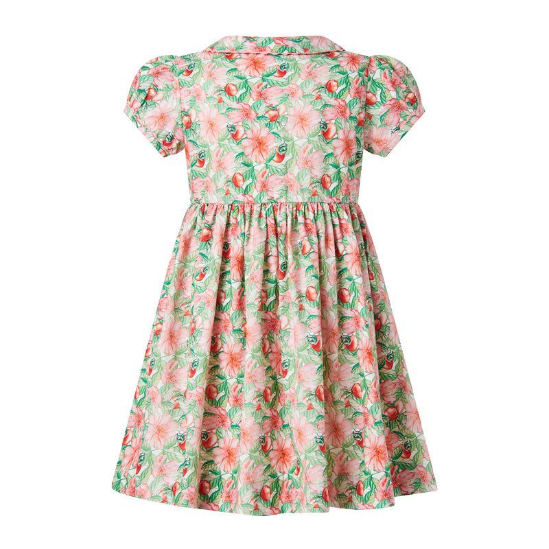 Tropical Fruit Button-front Dress