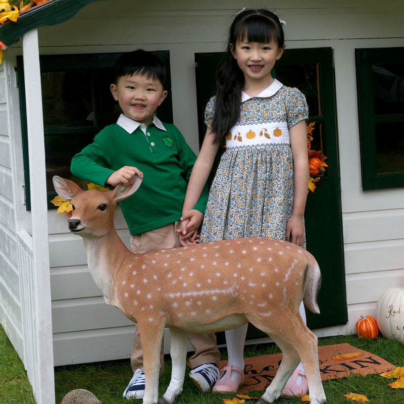 Pumpkin Smocked Dress