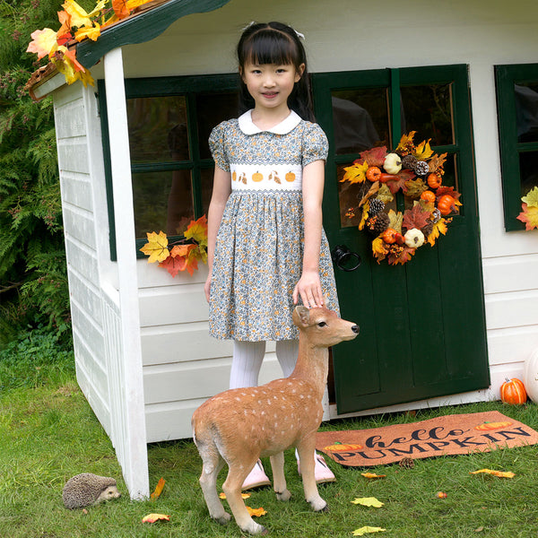 Pumpkin Smocked Dress