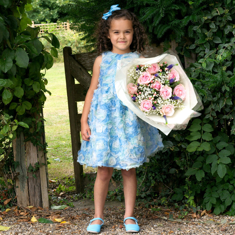 Blue Rosette Flutter Party Dress