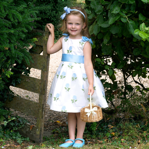 Blue Rose Embroidered Organza Dress