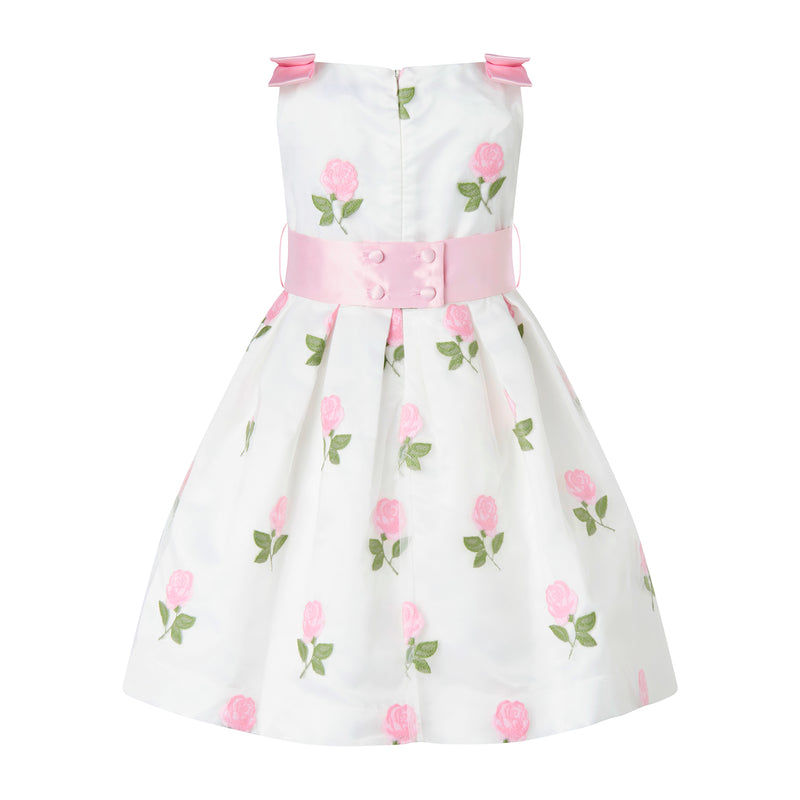 Pink Rose Embroidered Organza Dress