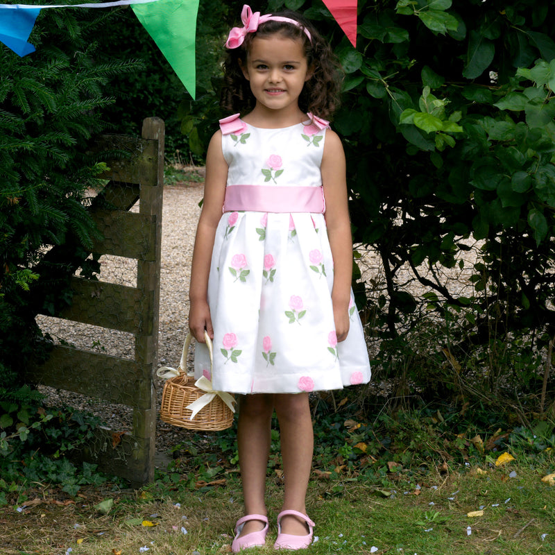 Pink Rose Embroidered Organza Dress