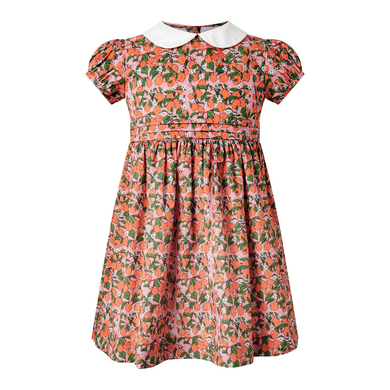 Clementine Peter Pan Collar Dress