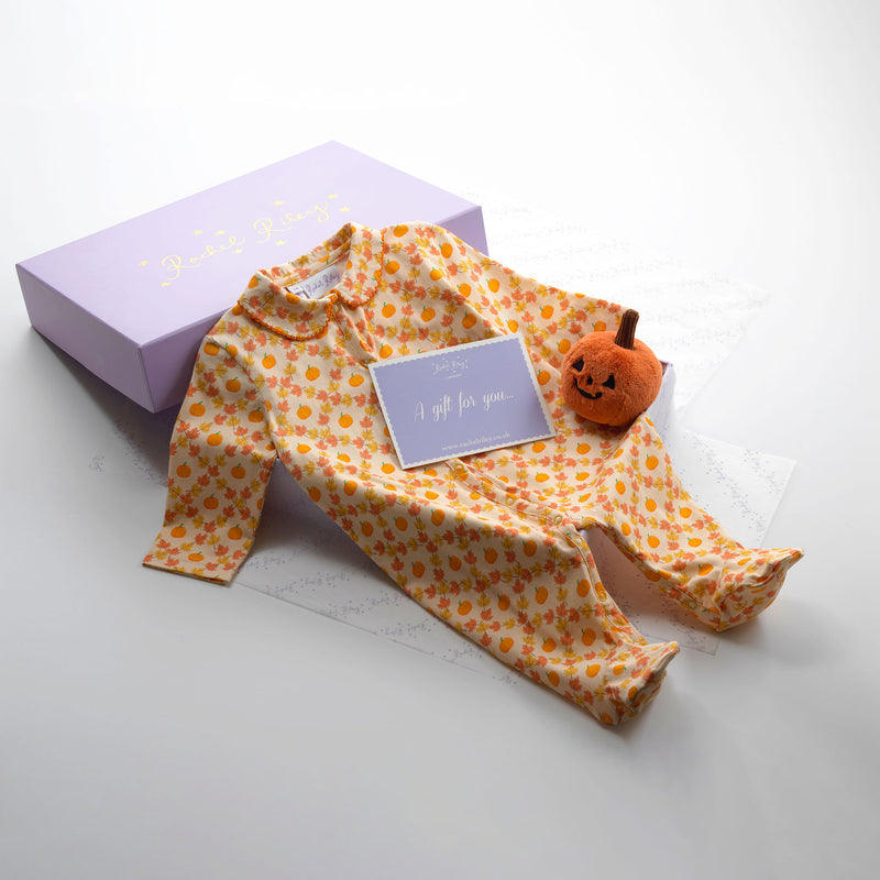 Baby Pumpkin Gift Set