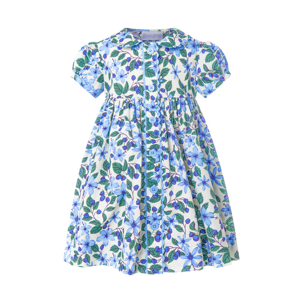 Blackberry Button-front Dress & Bloomers